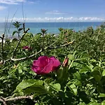 Apartamento On The Zingst