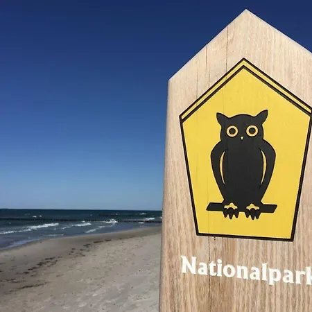 Appartamento On The Zingst