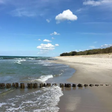 On The * Zingst