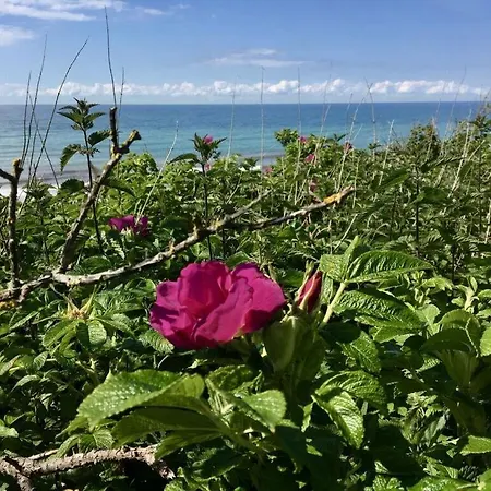 Apartment On The Zingst